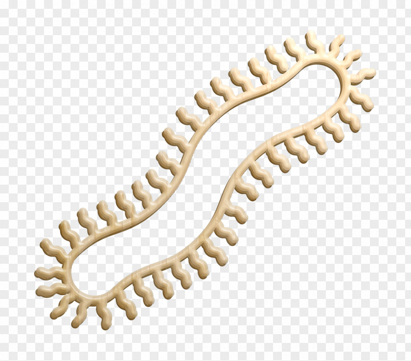 Insect Icon Insects Centipede PNG