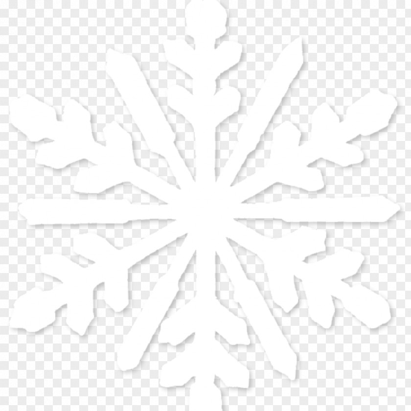 Snowflake Transparent Pattern Line Art Font Branching PNG
