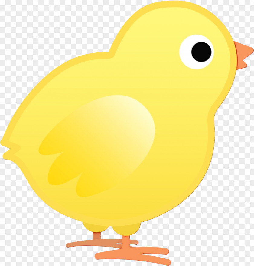 Yellow Beak Bird Cartoon Chicken PNG