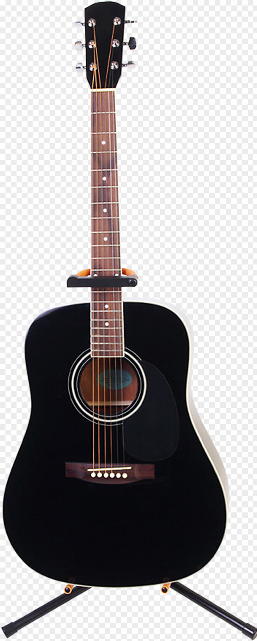 Acoustic Guitar Musical Instruments String Bass PNG