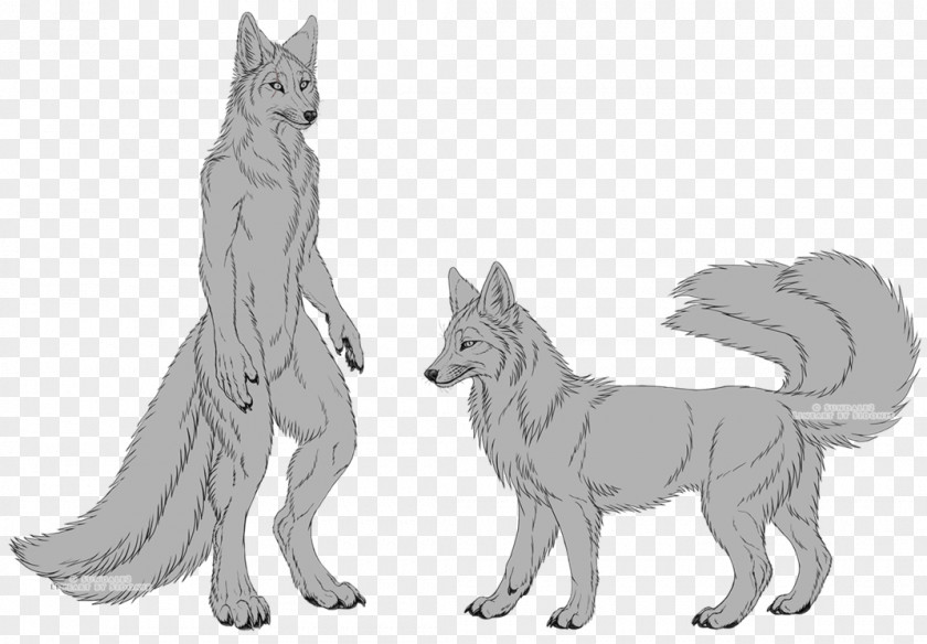 Dog Breed Line Art Character Sketch PNG