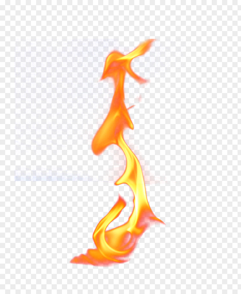Flame Fire Light PNG