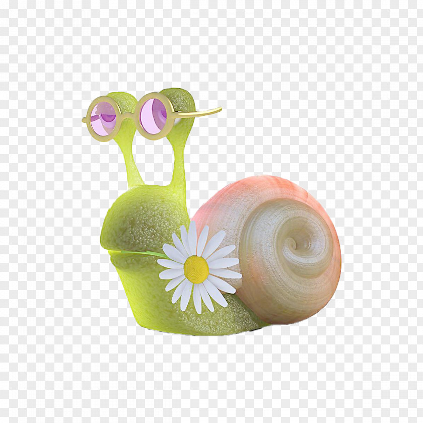 Miss Snail Orthogastropoda 3D Computer Graphics PNG