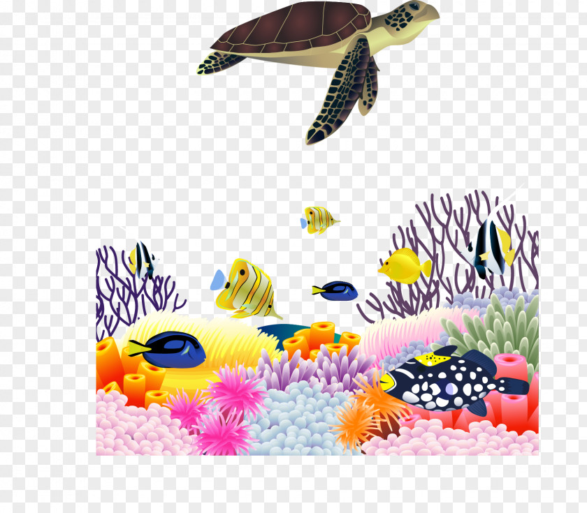 Sea Turtle Marine Life Scenery Vector Material Euclidean PNG