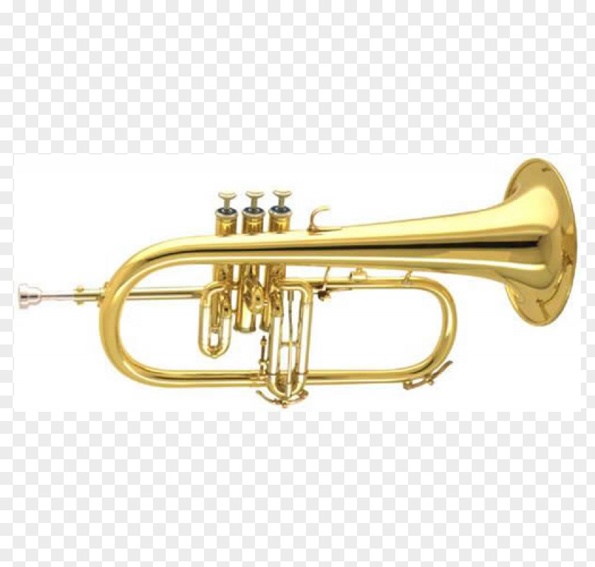 Trumpet Cornet Flugelhorn Bugle Mellophone PNG