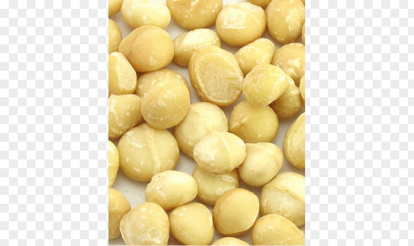 Macadamia Nut Australian Cuisine Organic Food PNG