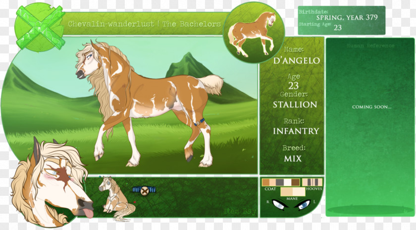 Mustang Dartmoor Pony Foal Mare PNG