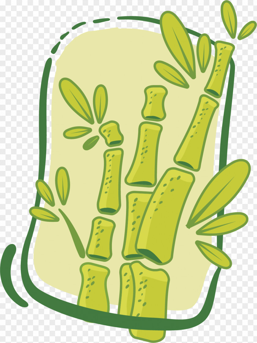 Bamboo Hardy Clip Art PNG