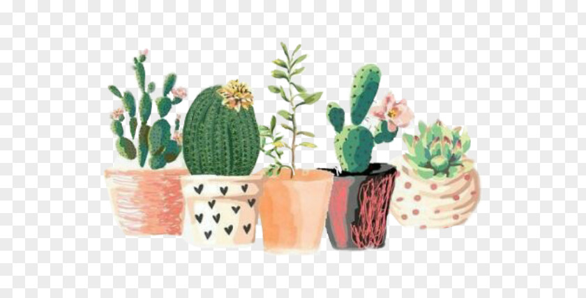 Cactaceae Art Succulent Plant Drawing Watercolor Painting PNG