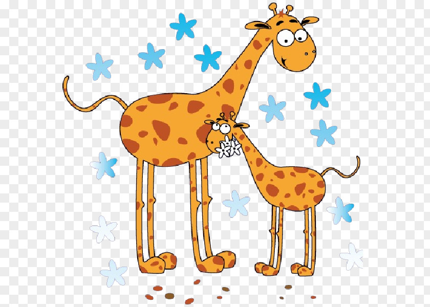 Cute Giraffe Baby Giraffes Animal Mammal Clip Art PNG