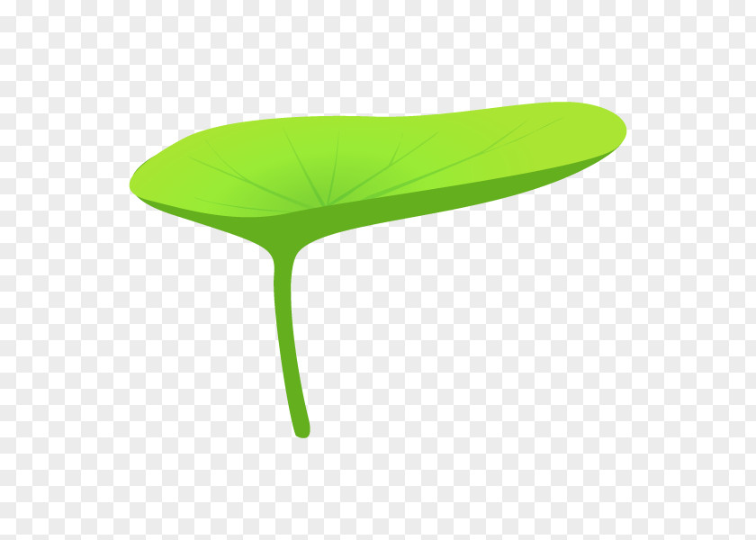 Google Images Search Engine Leaf Illustration PNG