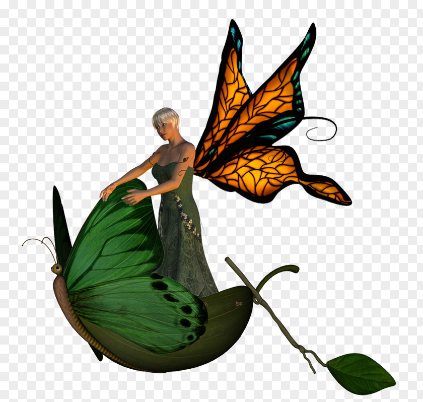 Nymphalidae Clip Art PNG