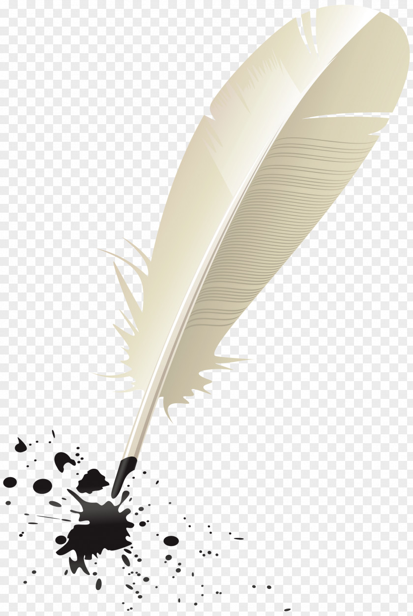 Office Instrument Natural Material Feather PNG