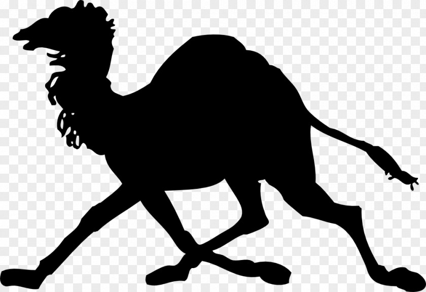 Camel Clip Art PNG