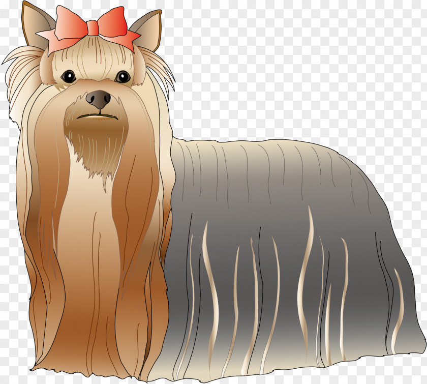 Dog Yorkshire Terrier Cairn Breed Toy PNG