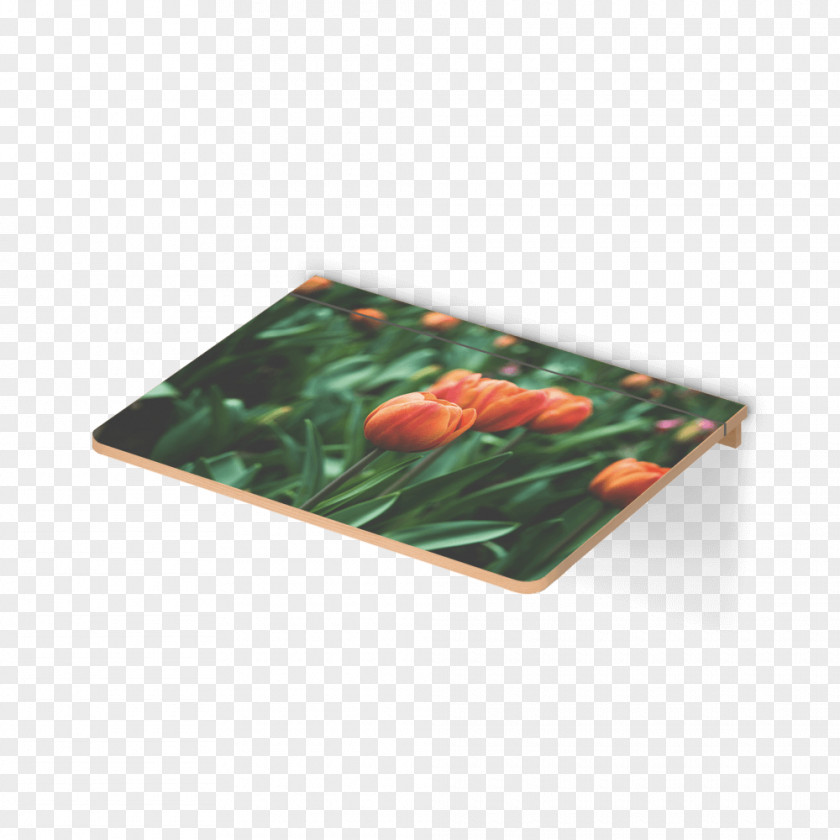 Tulip Material Table Norden Place Mats PNG