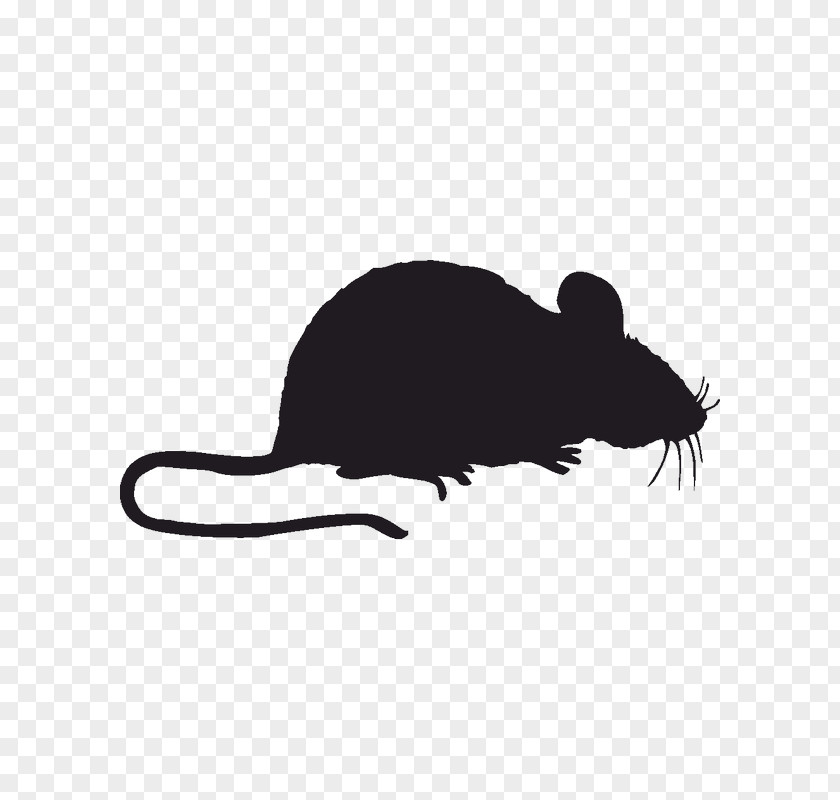 Window Pest Control Mouse Sticker PNG