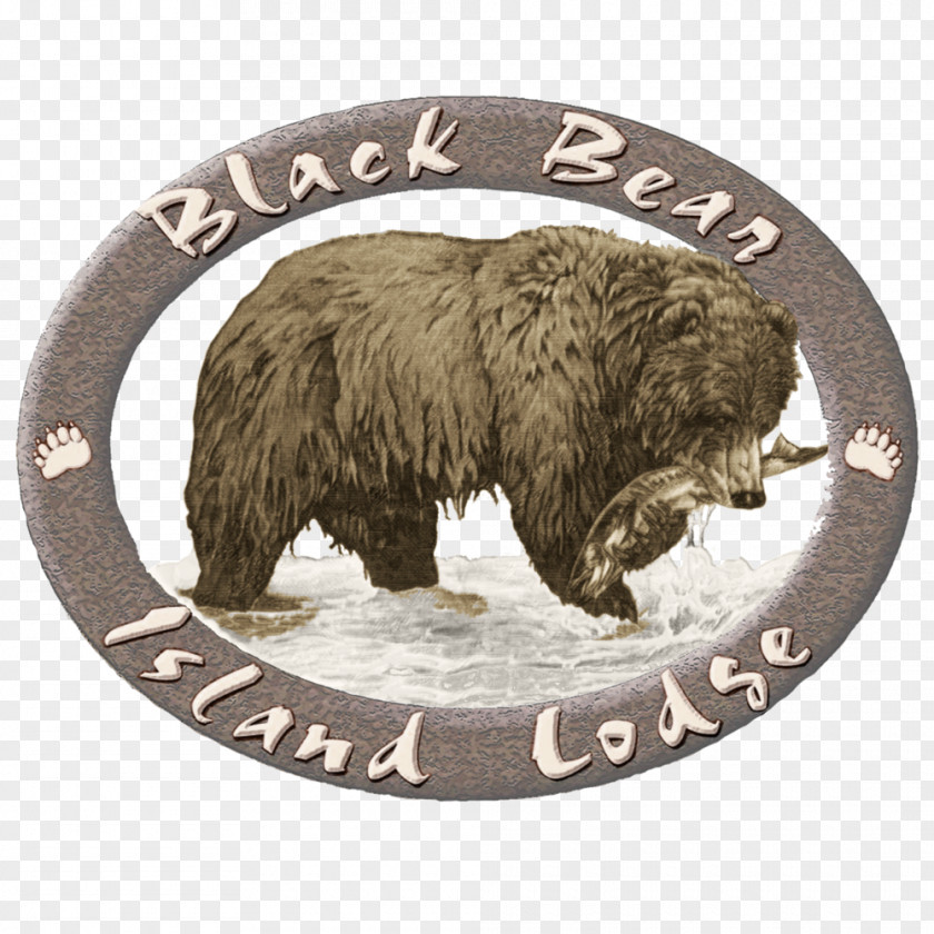 Bear Grizzly American Black Hunting PNG