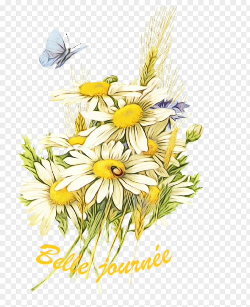 Clip Art Flower Image Oxeye Daisy PNG