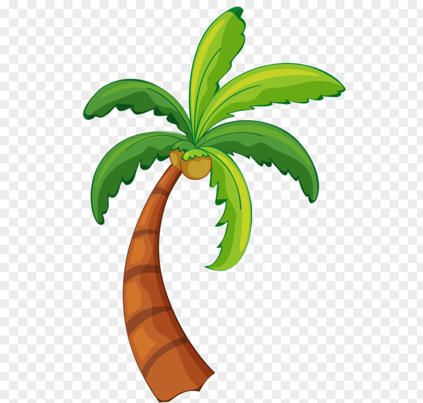 Coconut Tree Island Clip Art PNG