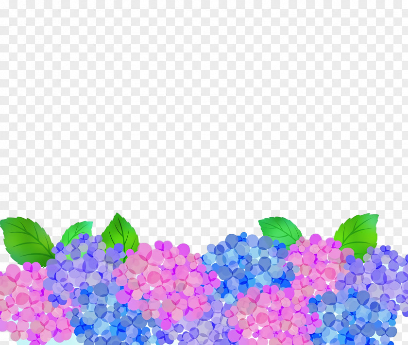 Hydrangea Computer M PNG