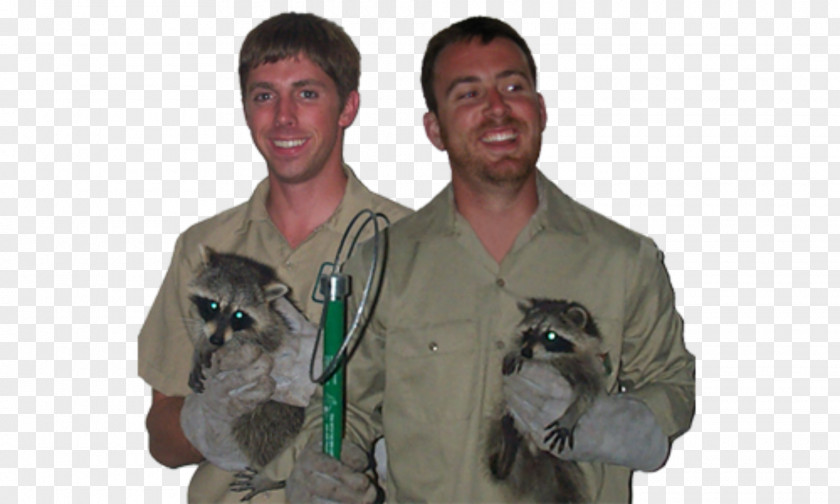Cat Dog Wildlife Animal Control And Welfare Service Shelter PNG