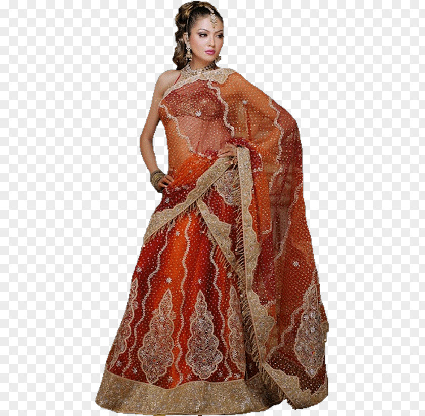 Dress Parul Chaudhary Choli Wedding Sari PNG