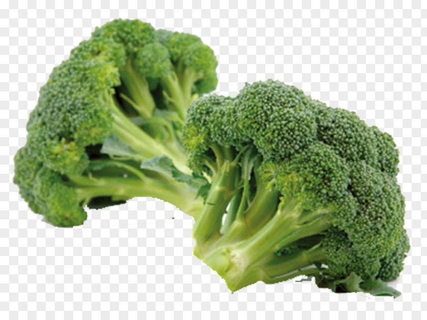Green Cauliflower Broccoli Eating Vegetable Sulforaphane Chinese Cabbage PNG