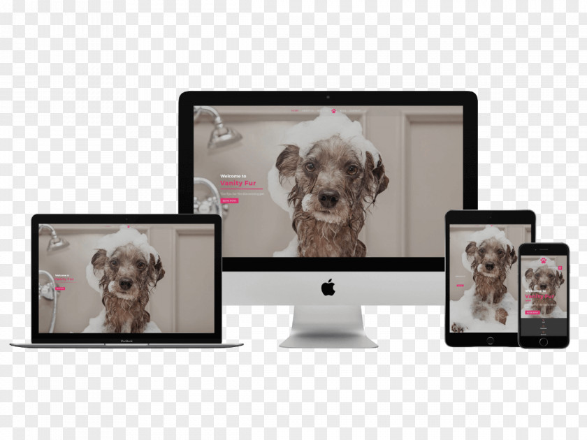 Grooming Pet Installment Loan Dog Breed Design Website PNG