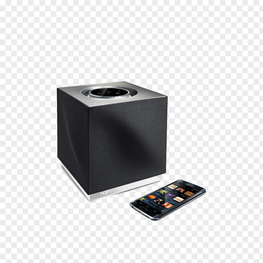 Naim Audio High Fidelity Loudspeaker Wireless PNG