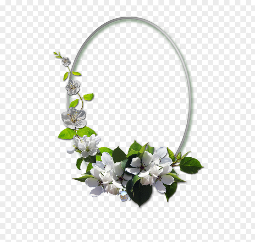 Flower Picture Frames Photography Ornament Oval PNG