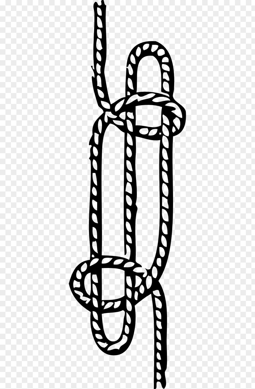 Knots Cliparts Seizing Knot Bowline On A Bight Clip Art PNG