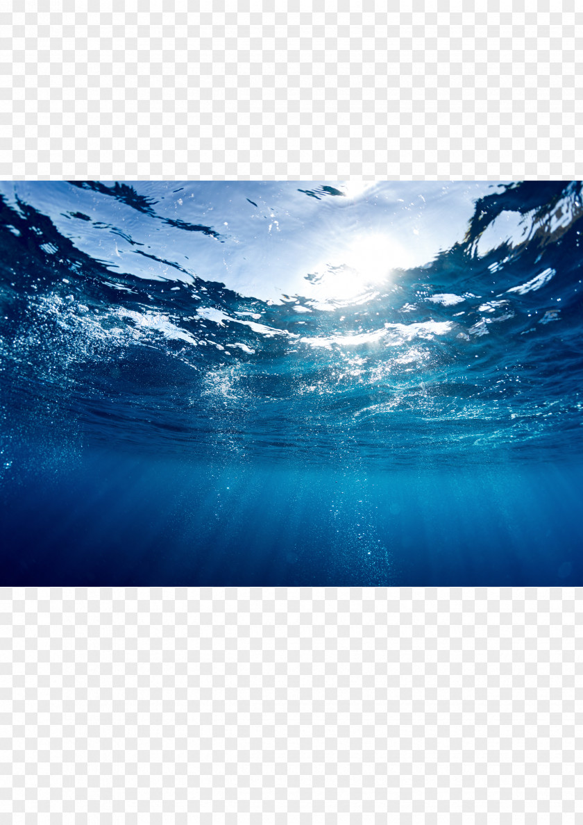 Ocean The Blue Economy Light Sea PNG