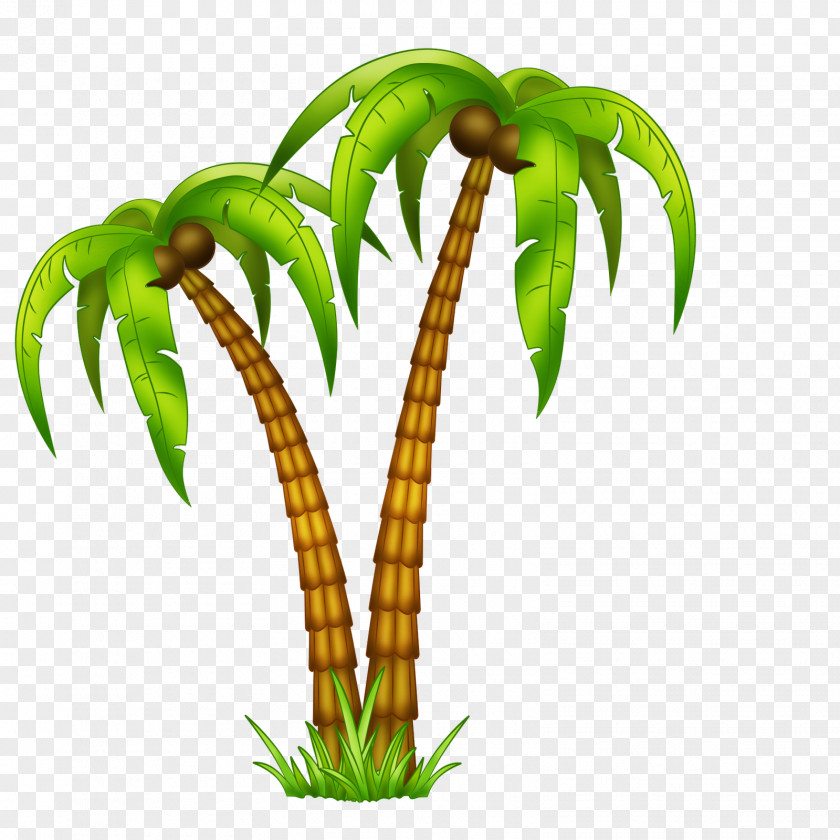 Tropics Cumbia Tropical Music Drawing PNG music Drawing, coconut tree clipart PNG