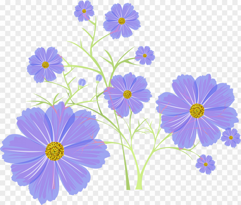 Cosmos Flower Photography Archive File PNG