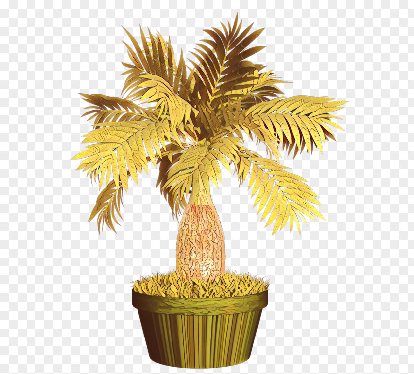 Image Date Palm Trees Plants PNG