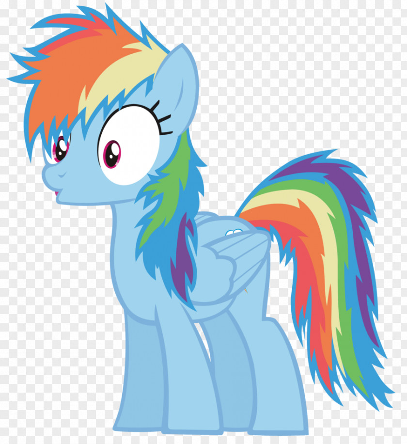 Rainbow Dash Pinkie Pie Rarity Applejack Pony PNG