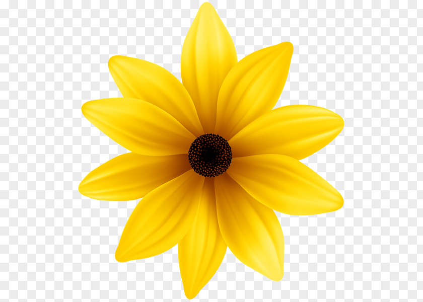 Yellow Flowers Flower Blue Clip Art PNG