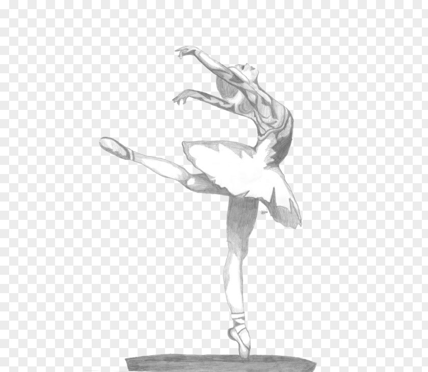 Ballet Tutu Sketch PNG