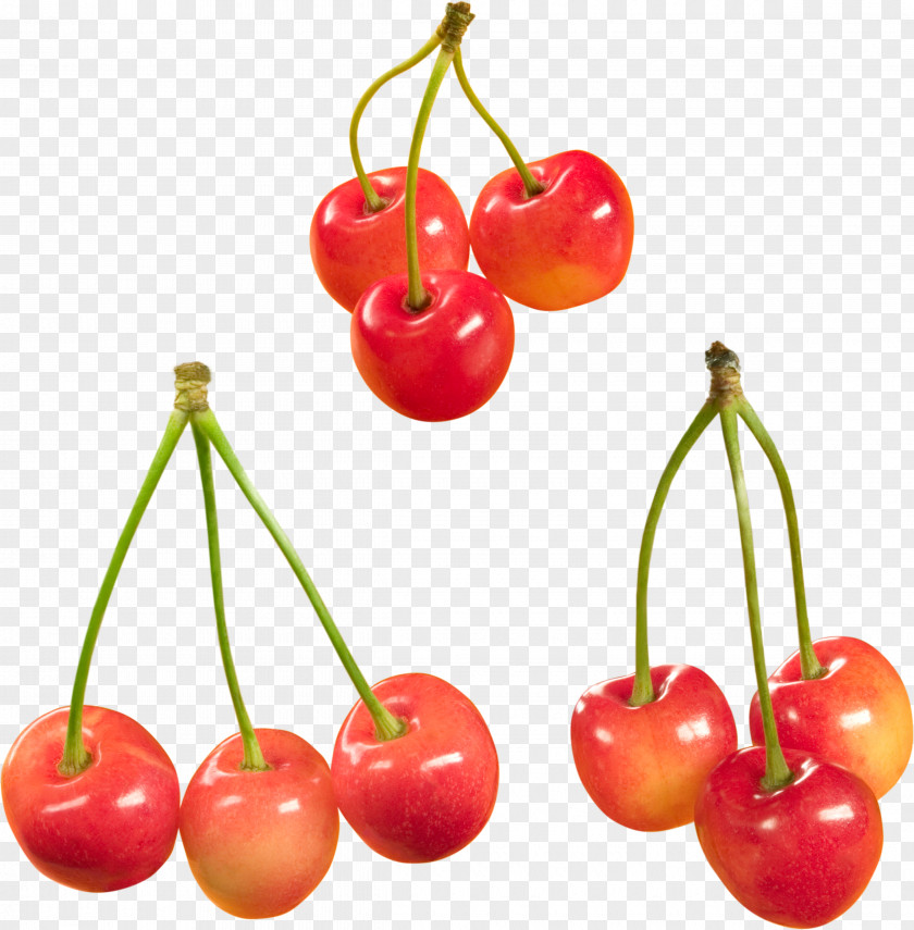 Cherry Sweet Cerasus Food Fruit PNG