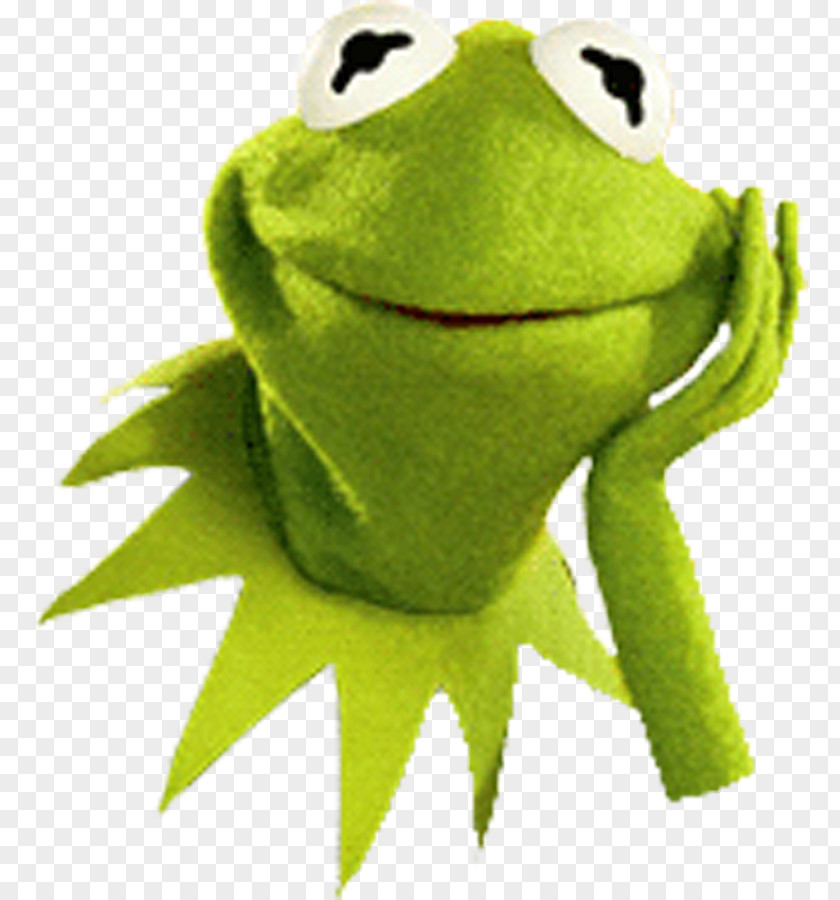 Kermit The Frog Beaker Gonzo Miss Piggy Muppets PNG