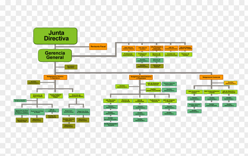 Organizational Chart Empresa Industry Public Utility PNG