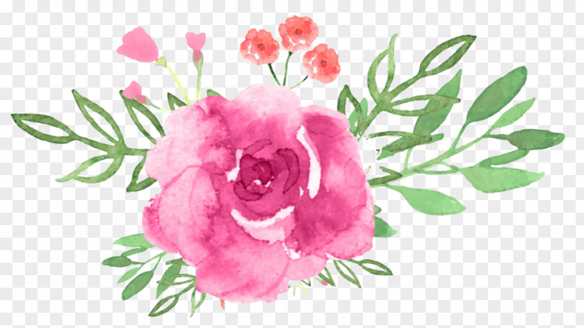 Prickly Rose Plant Stem Flower Art Watercolor PNG