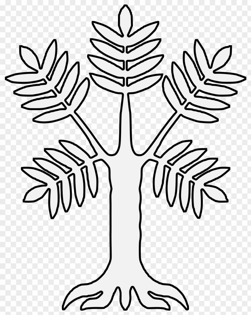 Branch Grass Family Line Art Leaf Tree Vascular Plant PNG