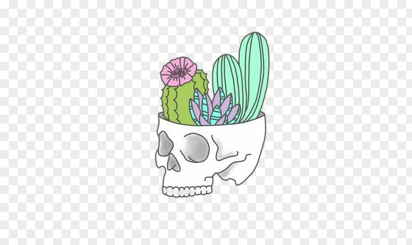 Cactus Et Succulentes Succulent Plant Drawing Sticker PNG