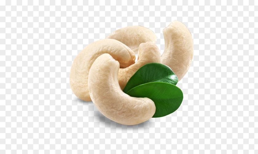 Cashew Nuts Nut Dried Fruit Food IStock PNG