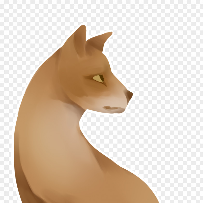 Cat Whiskers Snout Tail PNG