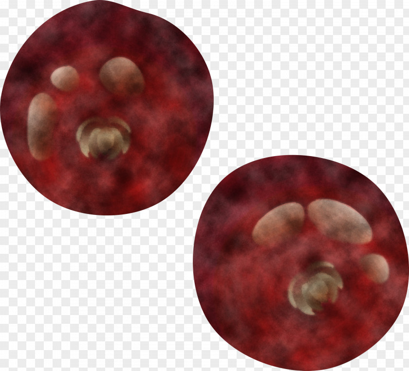Maroon Red Circle Pattern Plate PNG