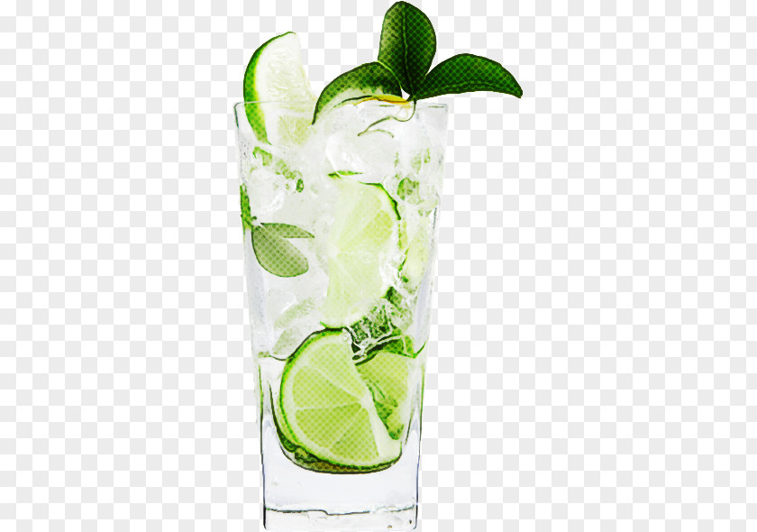 Mojito PNG