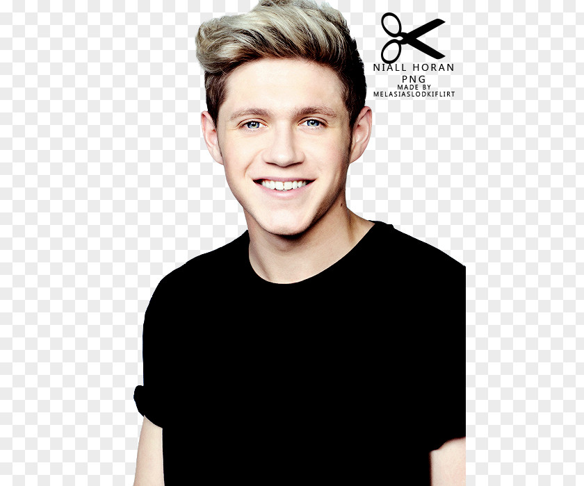 One Direction Niall Horan On The Road Again Tour Mullingar Way Or Another PNG